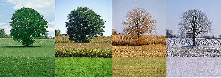 敢出敢买 《第三次世界大战》售出一份五百万美元的捆绑包