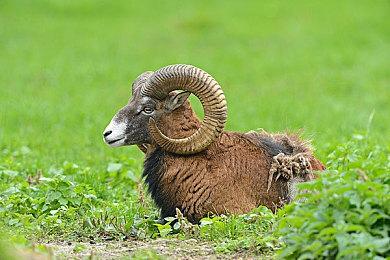 前育碧和《使命召唤》开发者成立新工作室 即将公布新作