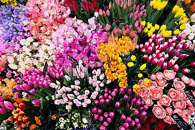 《永劫无间》手游宣布举行线下试玩会 无需报名即来即玩