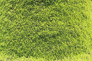 Insomniac创始人将退休 网友希望《漫威蜘蛛侠3》放弃女权主义