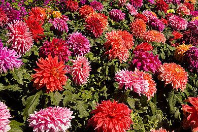 《那由多之轨迹：改》欧美版今秋发售 登陆PC＆PS4＆NS